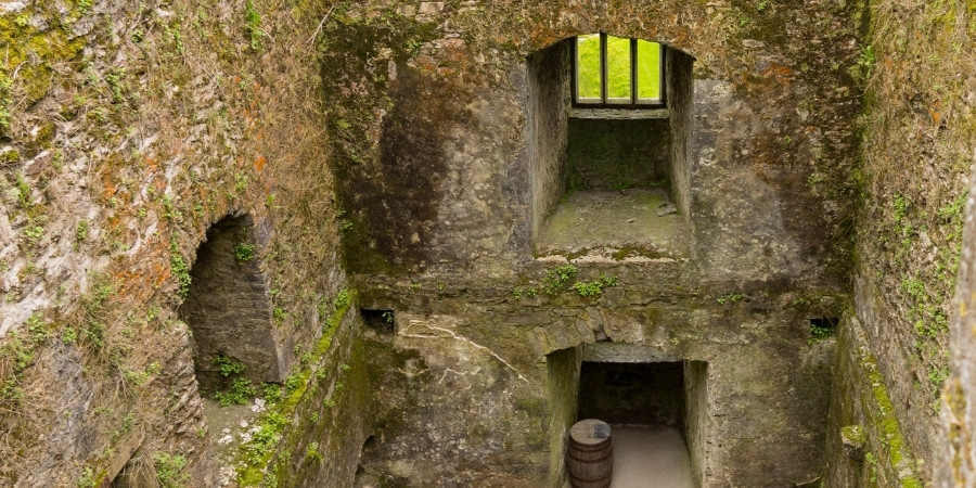 Ireland Blarney Castle