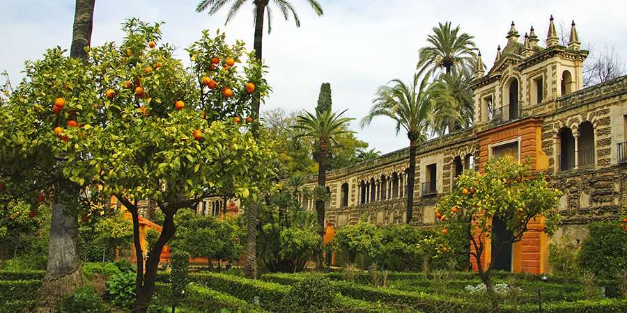 A,View,Of,The,Garden,In,The,Alcazar,Of,Seville,