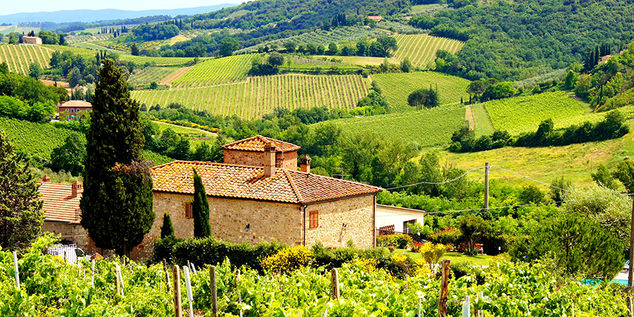 25698487 – view through vineyards with stone house, tuscany, italy